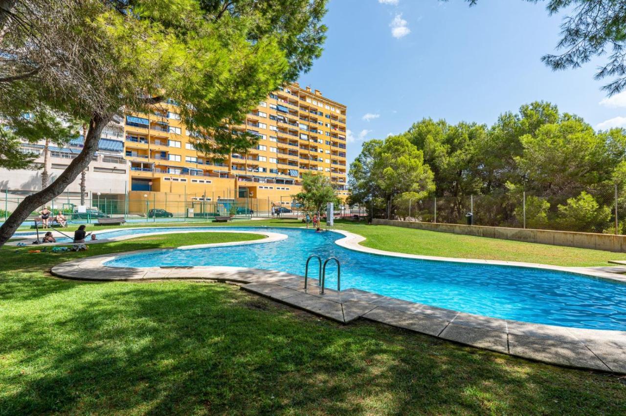 Apartamento Apartament Summer Dehesa de Dehesa de Campoamor Exterior foto